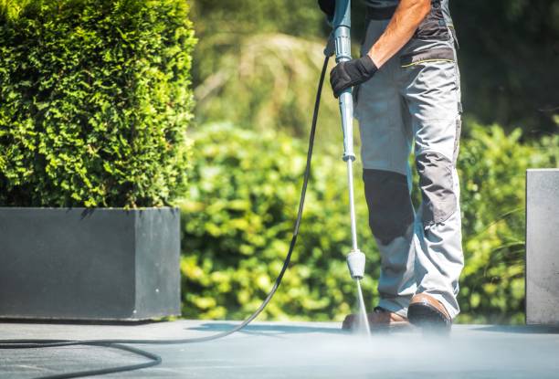 Best Pool Deck Cleaning  in Halls, TN
