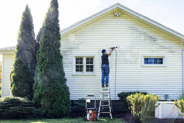 Best Animal Enclosure Cleaning  in Halls, TN