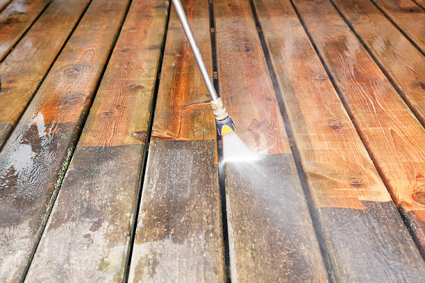 Best Warehouse Cleaning  in Halls, TN